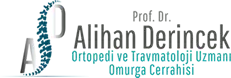 Alihan Derincek